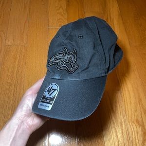 Stony Brook Collegiate baseball cap